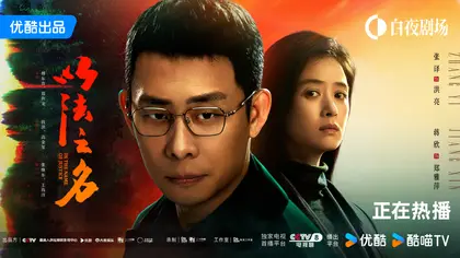 以法之名 关系海报