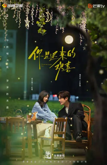 你是迟来的欢喜 节日海报