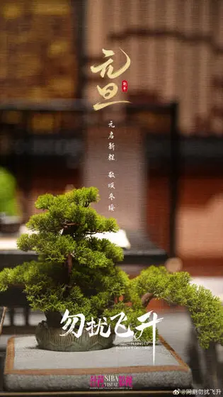 勿扰飞升 节日海报
