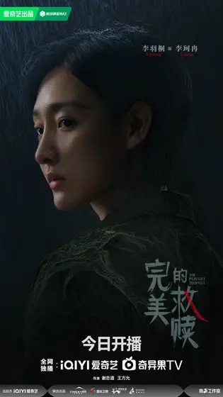 完美的救赎 角色海报