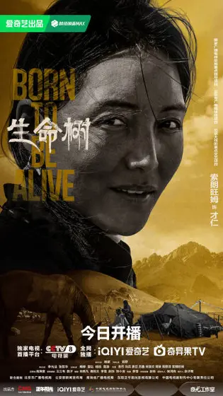 生命树 角色海报