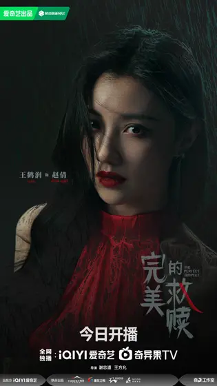 完美的救赎 角色海报