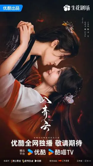 入青云 关系海报