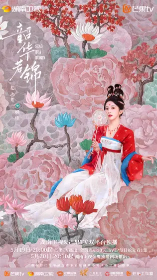 韶华若锦 角色海报