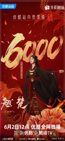 翘楚 数据战报