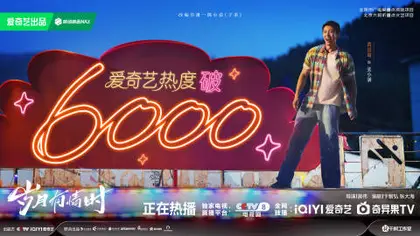 岁月有情时 数据战报