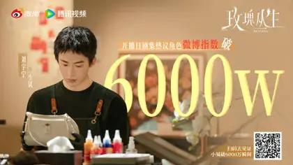 玫瑰丛生 数据战报