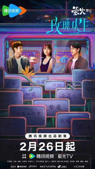 玫瑰丛生 关系海报