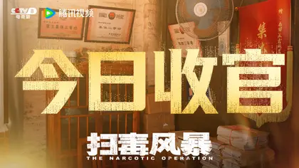 扫毒风暴 信息海报