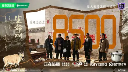 生命树 数据战报