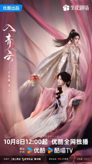 入青云 角色海报