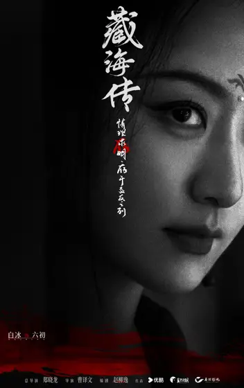 藏海传 角色海报