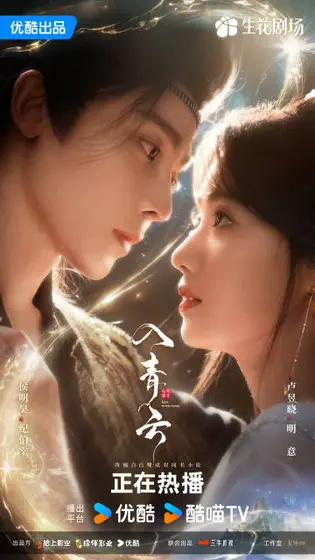 入青云 关系海报